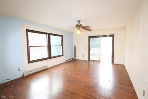 113 Gaylord Street Lodi OH 44254