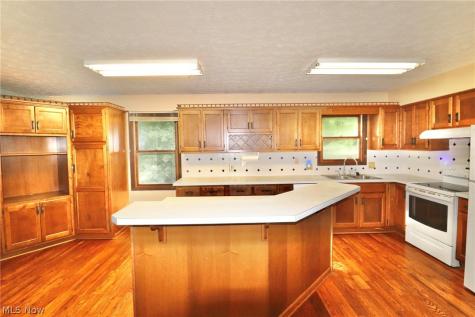 113 Gaylord Street Lodi OH 44254