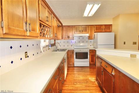 113 Gaylord Street Lodi OH 44254