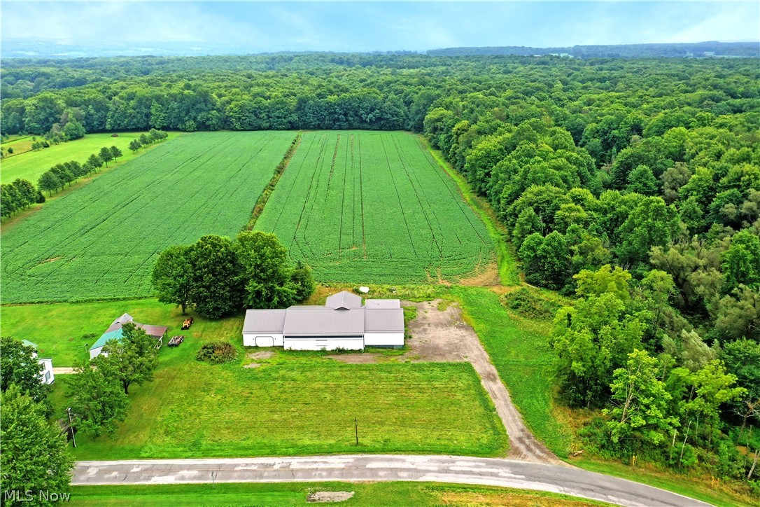 4000 Custer Orangeville Road NE Burghill OH 44404