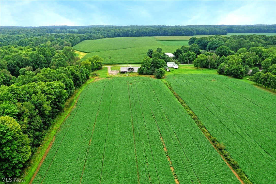 4000 Custer Orangeville Road NE Burghill OH 44404