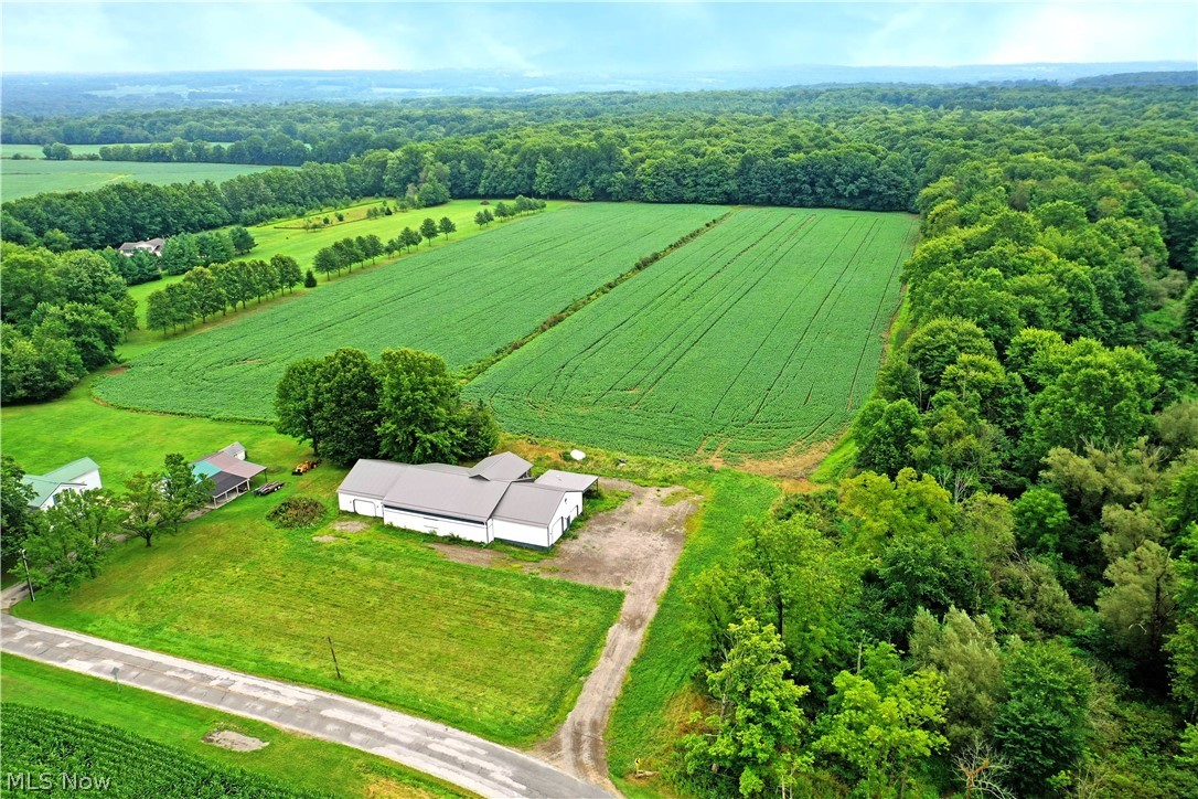 4000 Custer Orangeville Road NE Burghill OH 44404