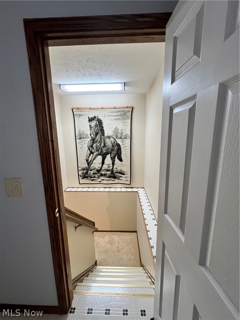 6140 Kelley Lane Parma OH 44134
