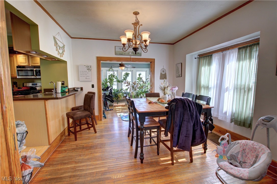 1547 Orchard Grove Avenue Lakewood OH 44107