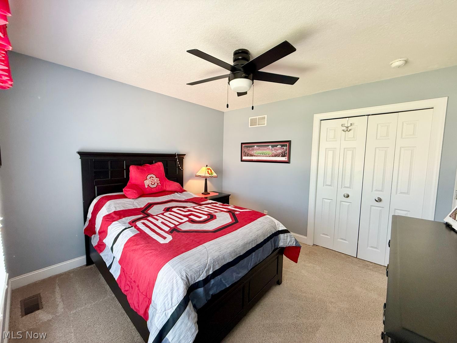 1048 Brittingham Drive Ravenna OH 44266