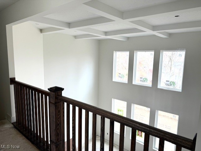 3807 Overlook Court Akron OH 44333