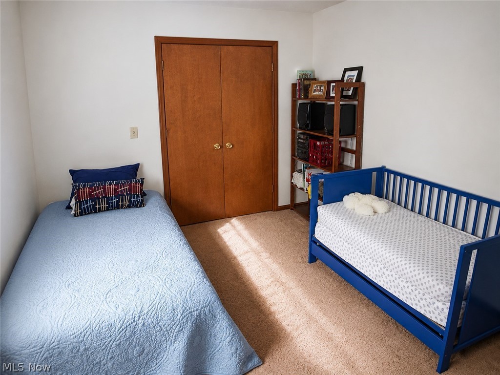 6155 Gibson Road Canfield OH 44406