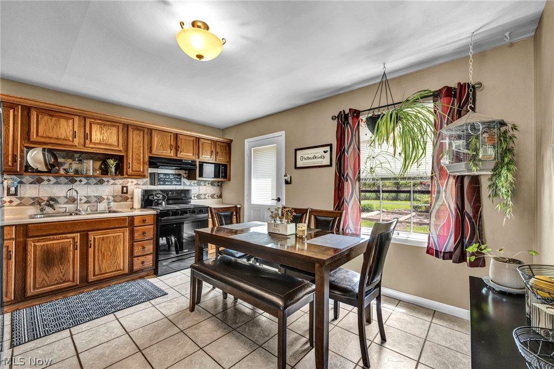 683 Lucille Drive Elyria OH 44035