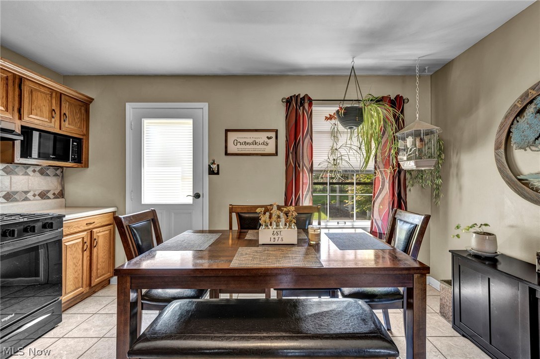 683 Lucille Drive Elyria OH 44035