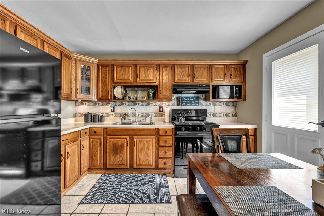 683 Lucille Drive Elyria OH 44035