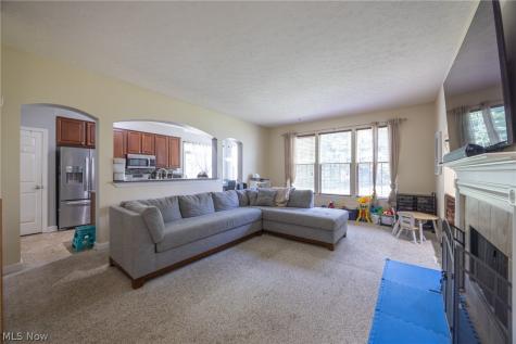 8856 Oakbrook Circle Twinsburg OH 44087