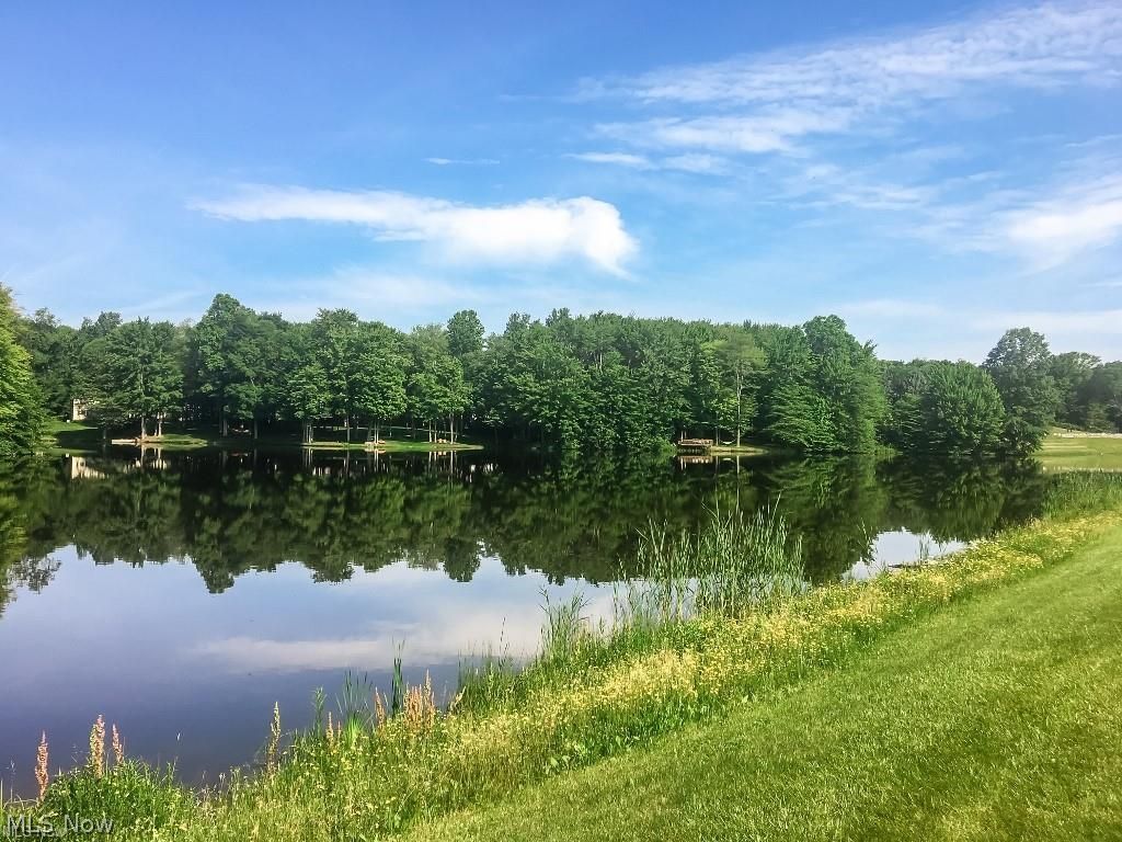 8688 Lake In The Woods Trail Chagrin Falls OH 44023
