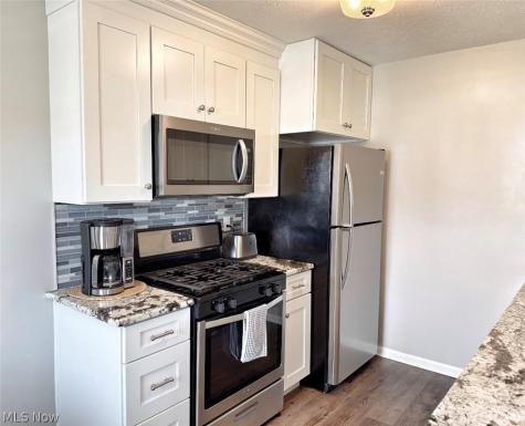 1739 Ridgeview Drive Wickliffe OH 44092
