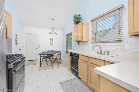 4247 Taylor Court Brunswick OH 44212