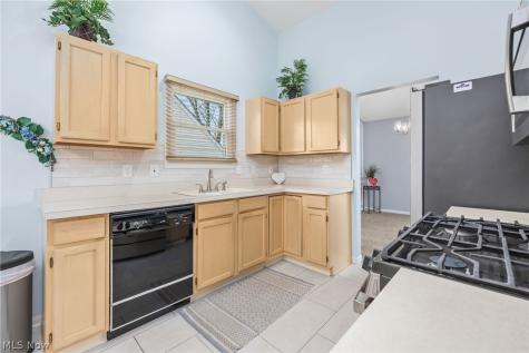 4247 Taylor Court Brunswick OH 44212