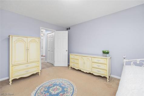 4247 Taylor Court Brunswick OH 44212