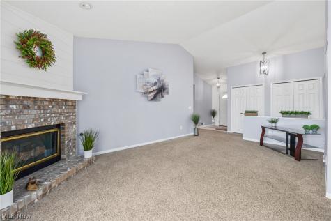 4247 Taylor Court Brunswick OH 44212