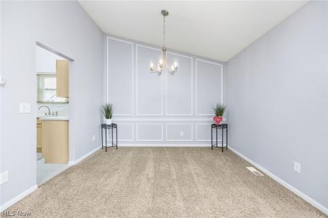 4247 Taylor Court Brunswick OH 44212