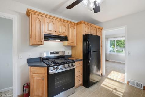 1539 Vine Street Kent OH 44240