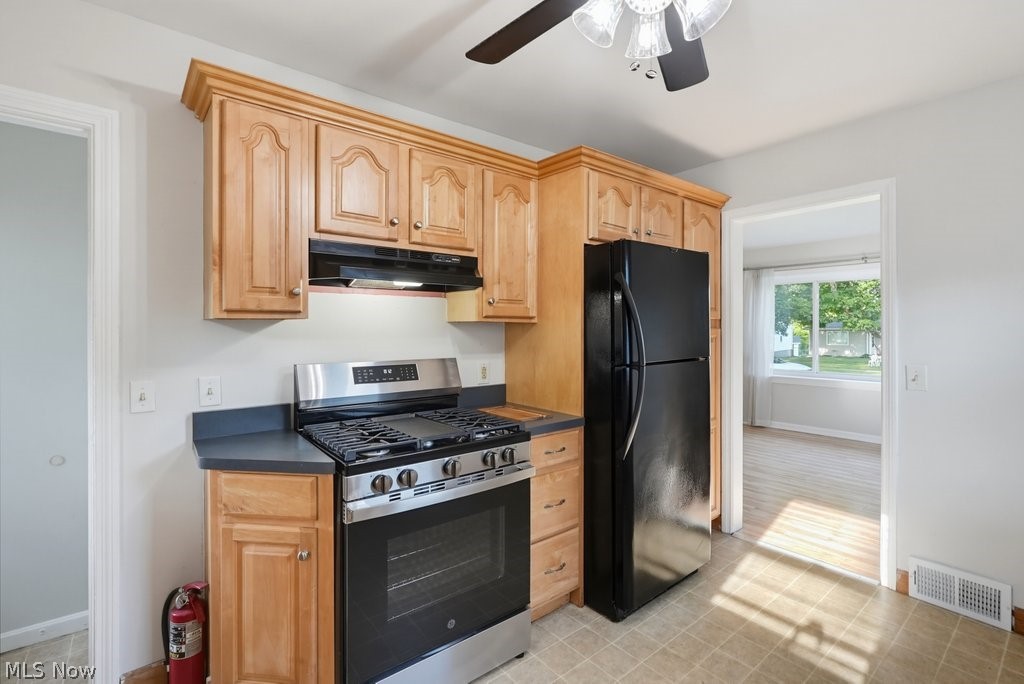 1539 Vine Street Kent OH 44240