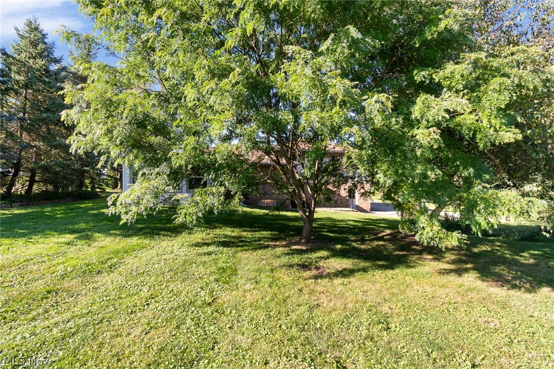 4047 Steiner Road Creston OH 44217