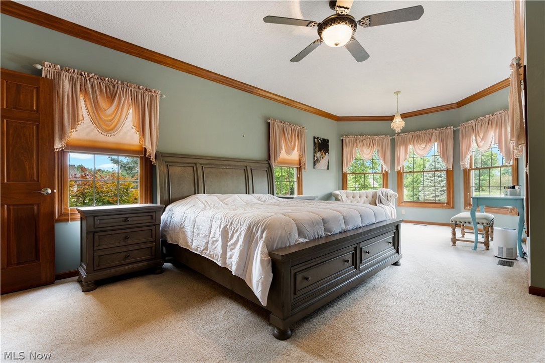 1597 Fallen Timber Street NE Canton OH 44721