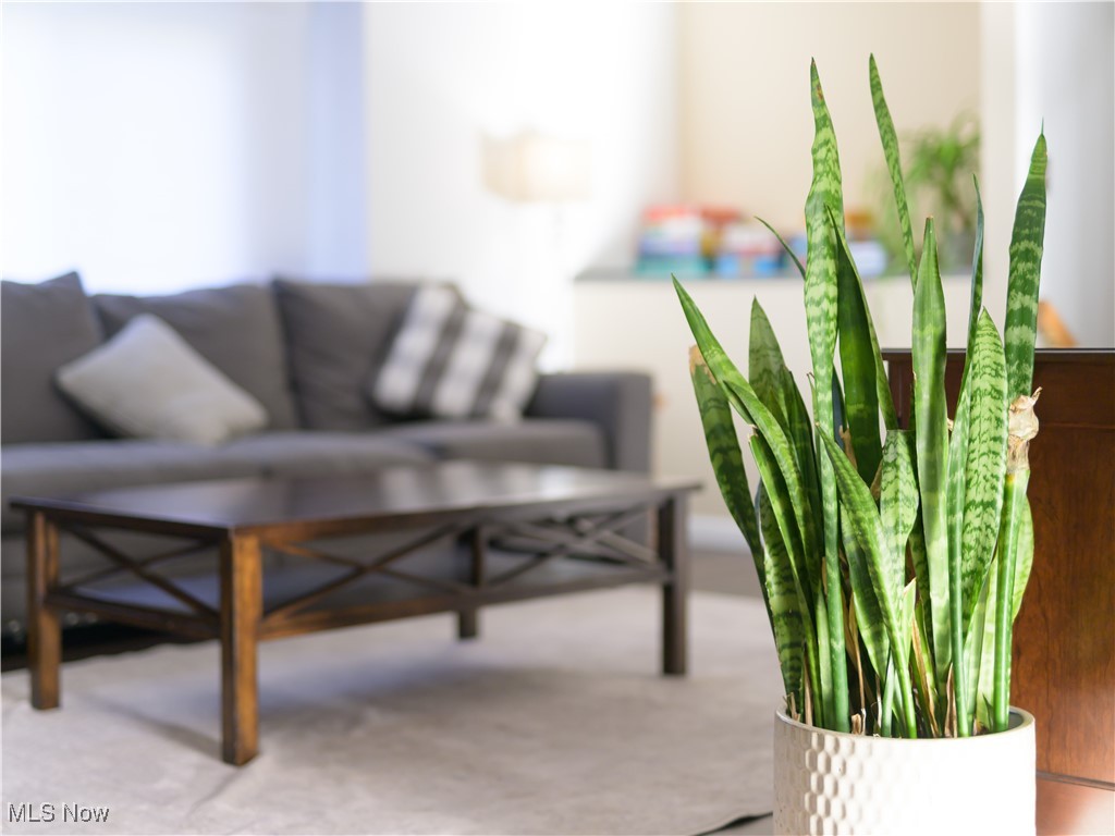 8902 Lincolnshire Boulevard Strongsville OH 44149