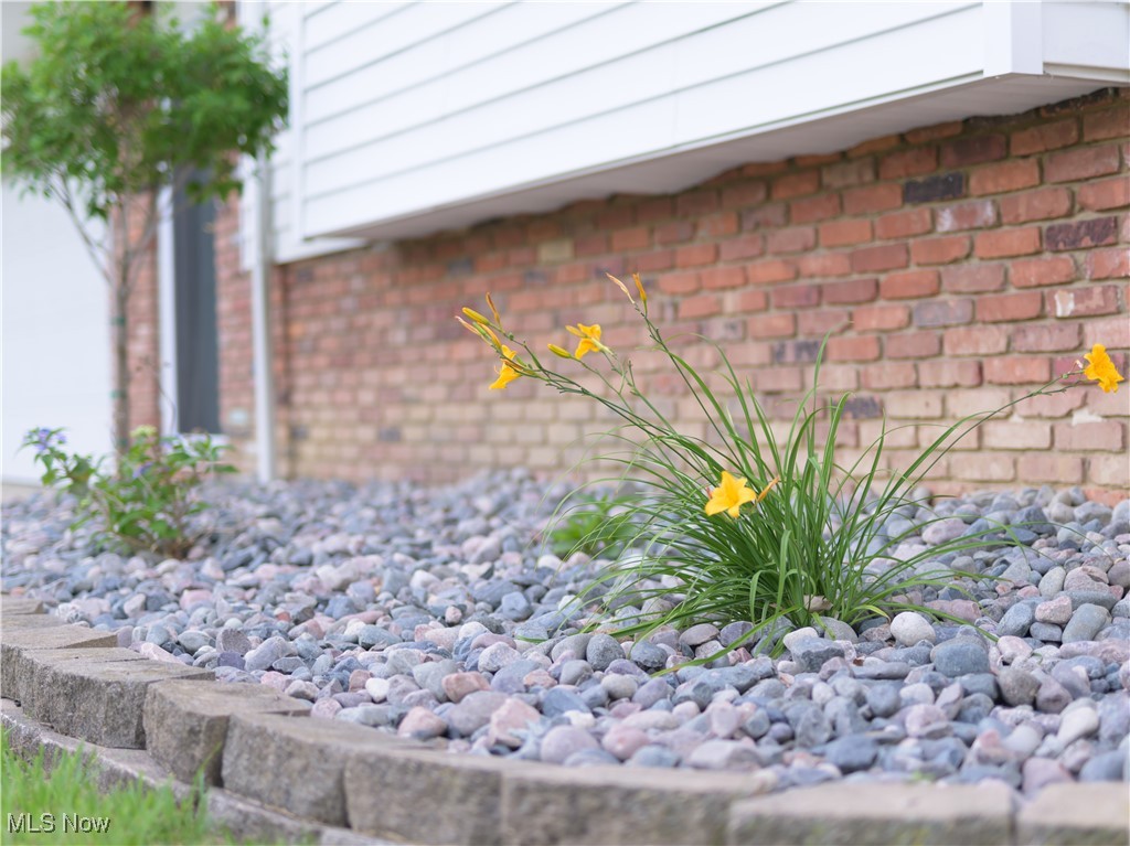 8902 Lincolnshire Boulevard Strongsville OH 44149