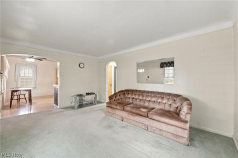 21351 Goller Avenue Euclid OH 44119