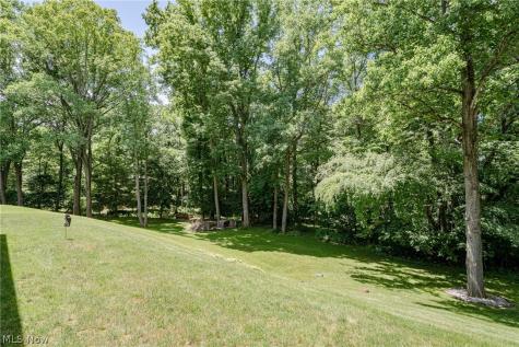 8515 Scenicridge Avenue NW Clinton OH 44216
