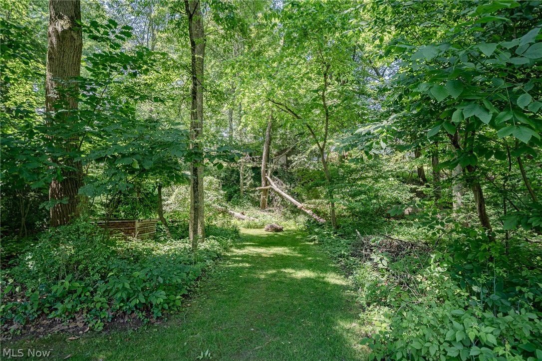 8515 Scenicridge Avenue NW Clinton OH 44216