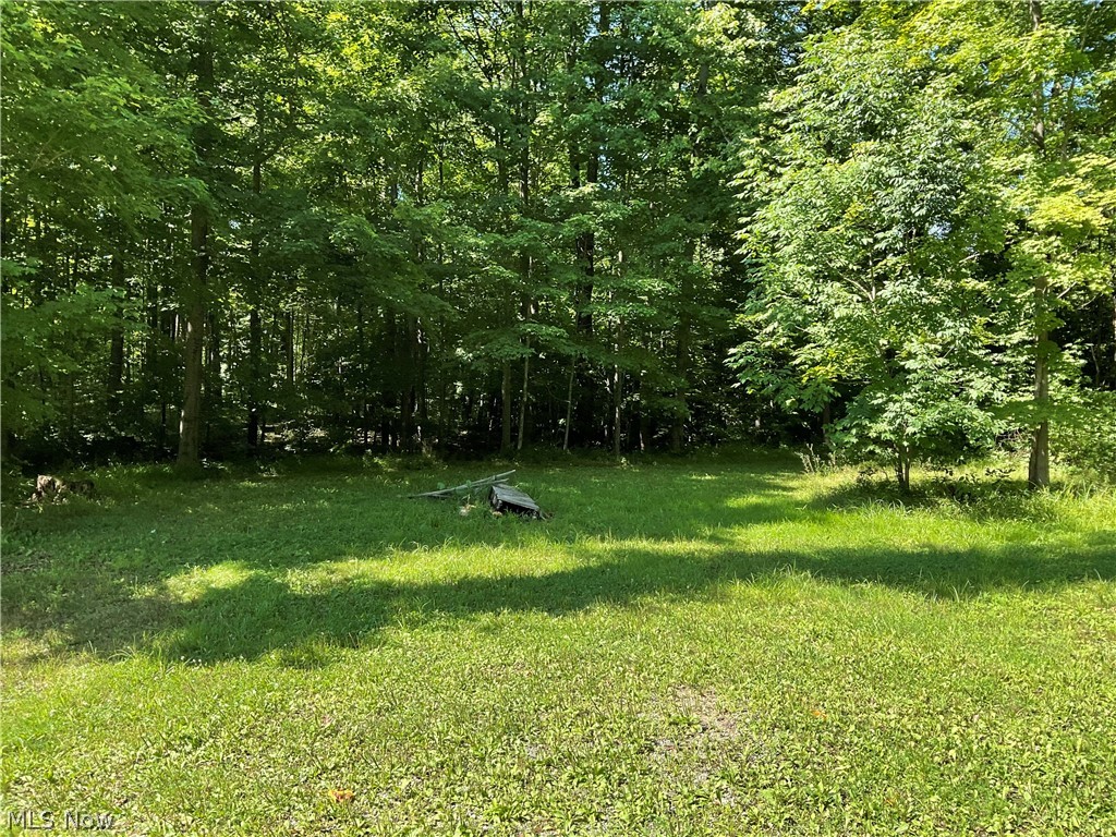 15585 Kidd Drive Newbury OH 44065
