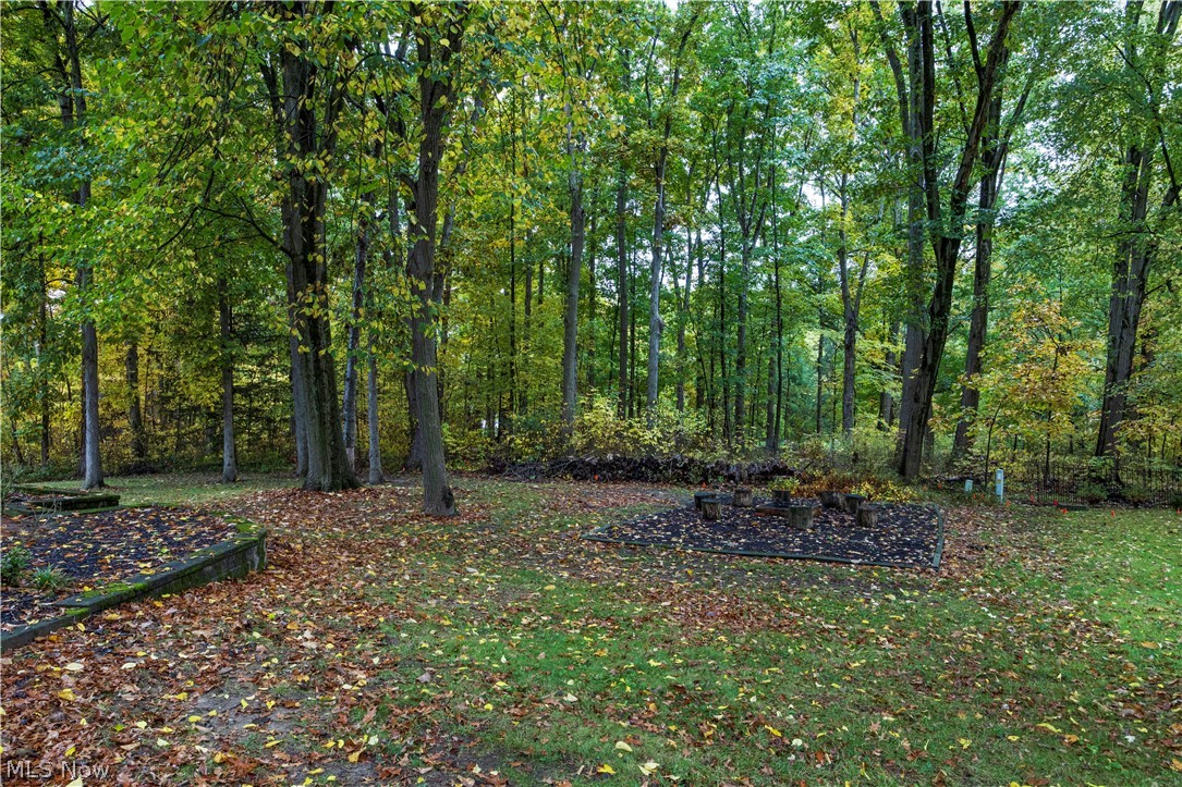 136 Parmelee Drive Hudson OH 44236