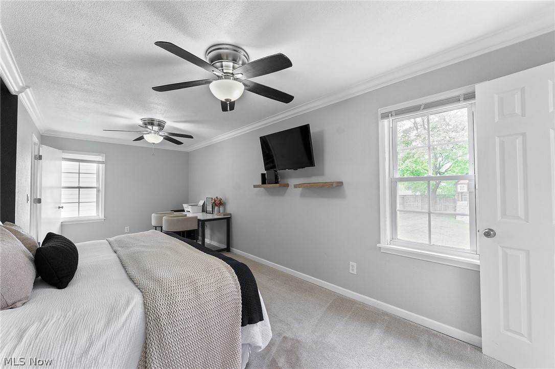 158 Callahan Road Canfield OH 44406
