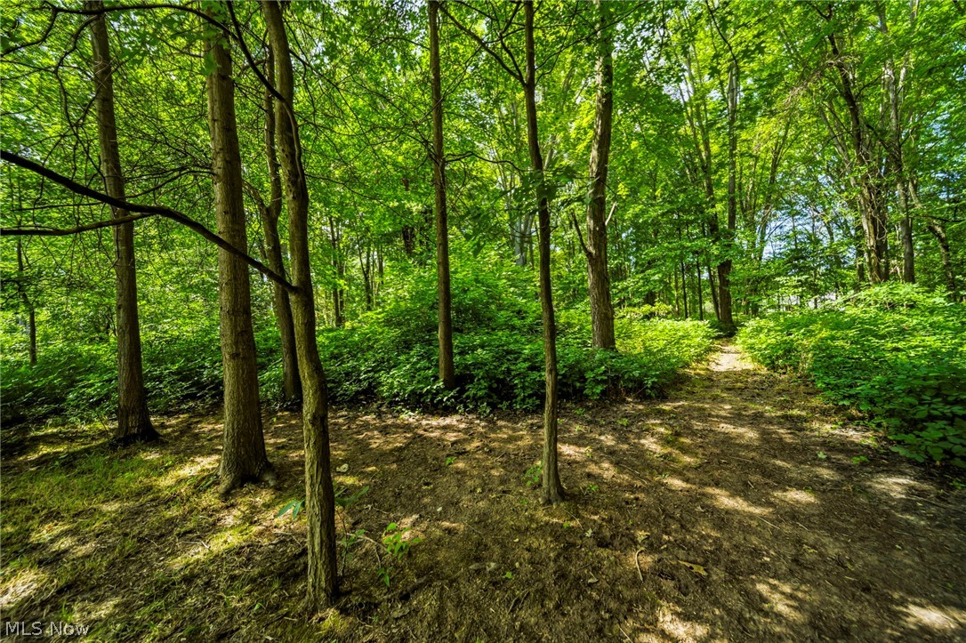 38541 Bell Road Willoughby OH 44094