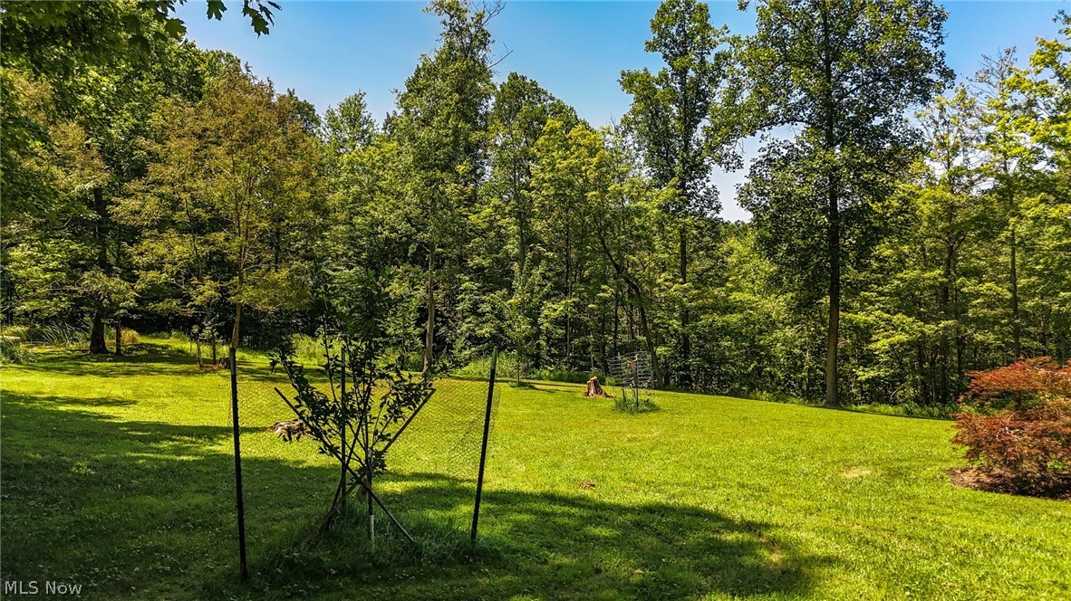 1788 Rosenbush Road Newport OH 45768
