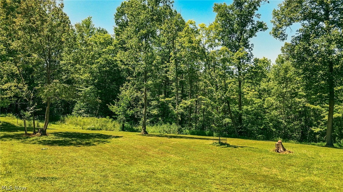 1788 Rosenbush Road Newport OH 45768