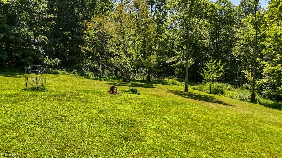1788 Rosenbush Road Newport OH 45768