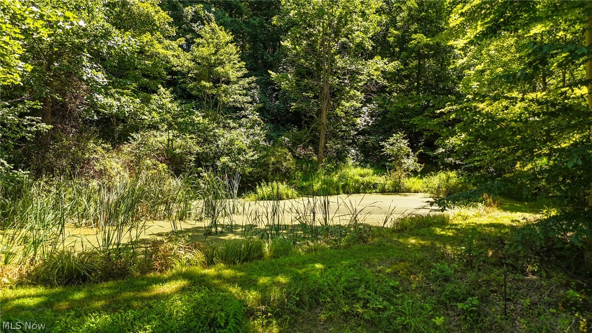 1788 Rosenbush Road Newport OH 45768