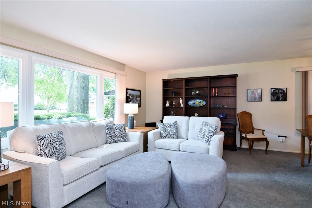 4651 Whitehall Drive South Euclid OH 44121
