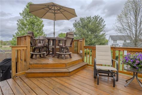 1009 Brittingham Drive Ravenna OH 44266