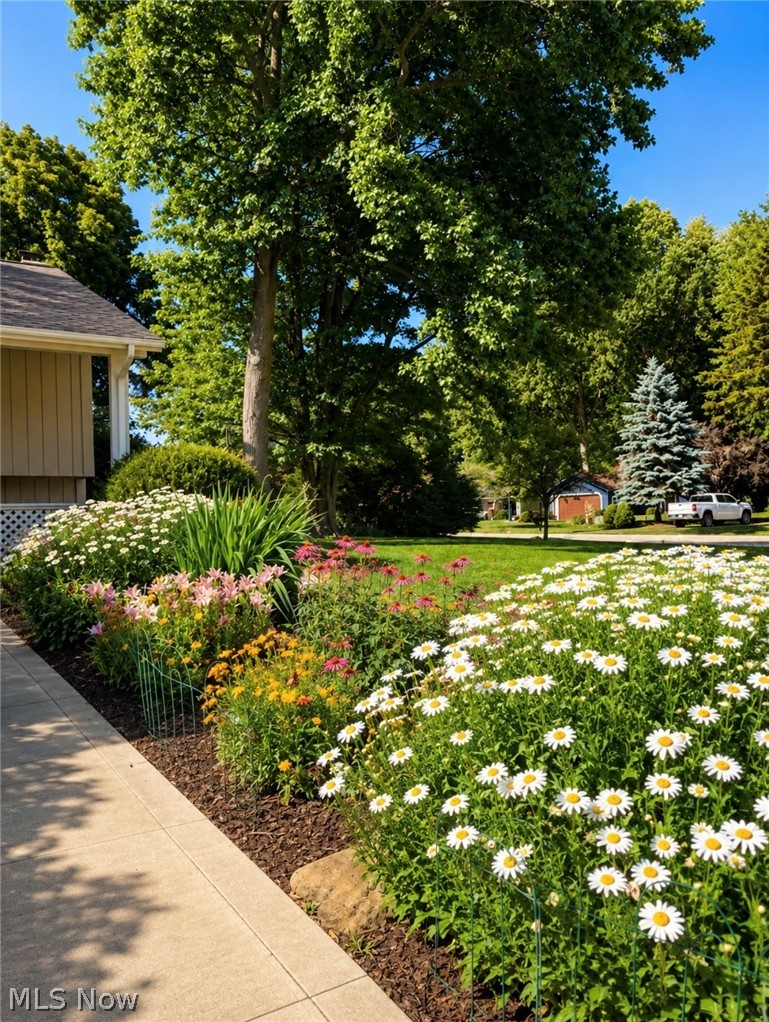 9000 Bluejay Lane Mentor OH 44060
