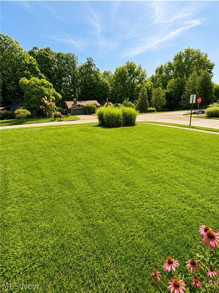 9000 Bluejay Lane Mentor OH 44060