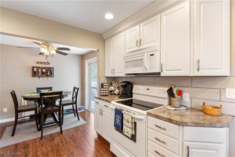 393 Wrico Street Coventry OH 44319