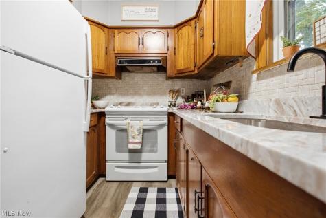 220 Luary Drive Painesville OH 44077
