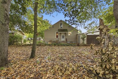 220 Luary Drive Painesville OH 44077