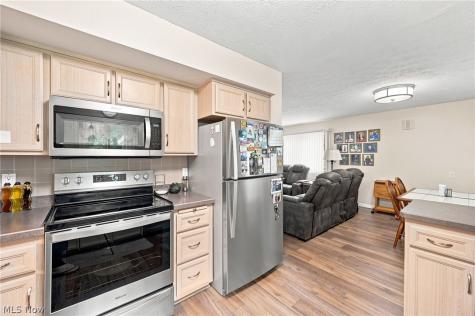 8127 Litto Drive Strongsville OH 44136