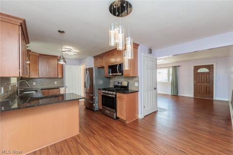 23537 David Drive North Olmsted OH 44070