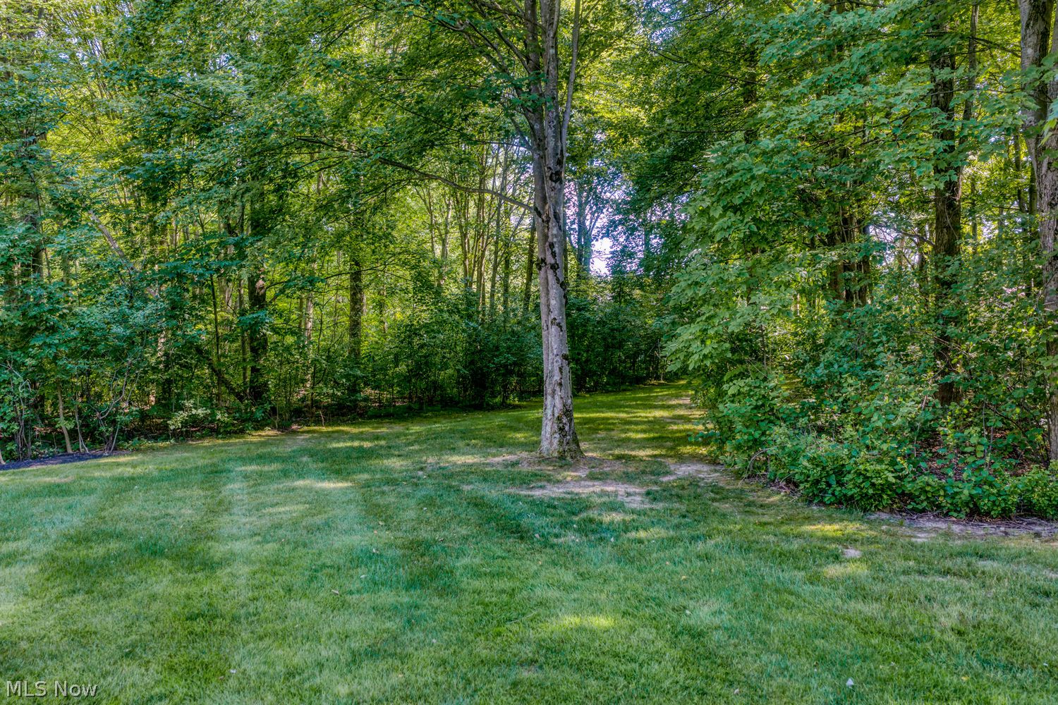 35550 Spicebush Lane Solon OH 44139