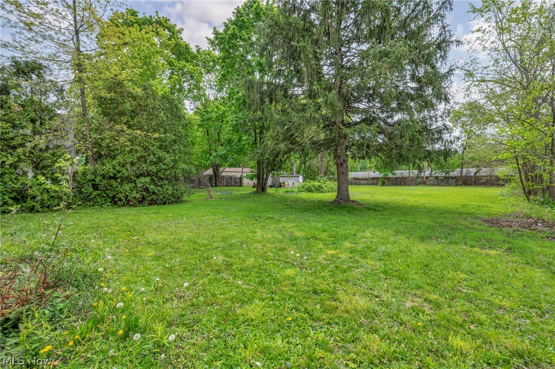 74 Stockwell Street Painesville OH 44077